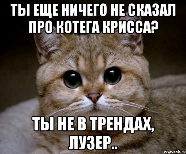 ты еще ничего не сказал про котега крисса? ты не в трендах, лузер.., Мем Пидрила Ебаная