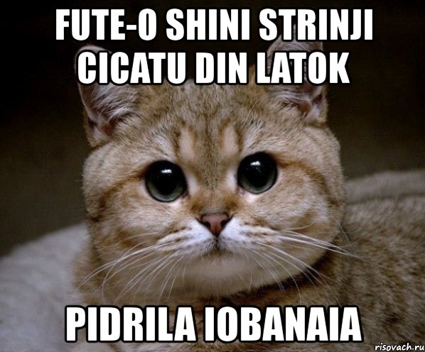 fute-o shini strinji cicatu din latok pidrila iobanaia, Мем Пидрила Ебаная