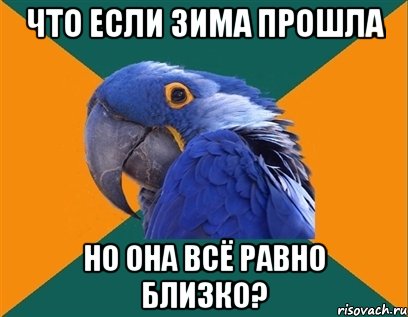 что если зима прошла но она всё равно близко?, Мем Попугай параноик