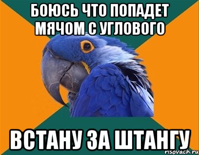 боюсь что попадет мячом с углового встану за штангу, Мем Попугай параноик