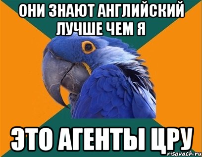 они знают английский лучше чем я это агенты цру, Мем Попугай параноик