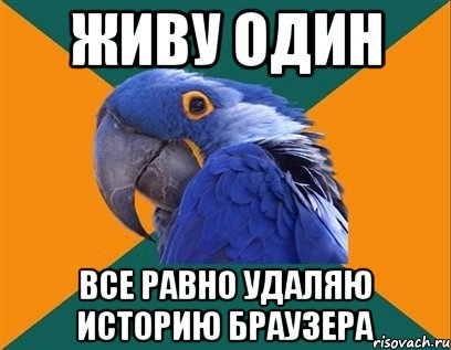 живу один все равно удаляю историю браузера, Мем Попугай параноик