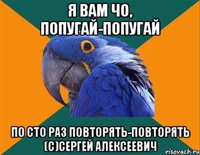 я вам чо, попугай-попугай по сто раз повторять-повторять (с)сергей алексеевич, Мем Попугай параноик