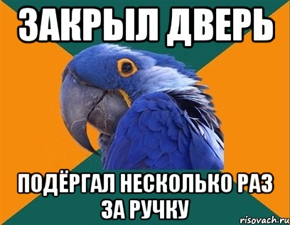 закрыл дверь подёргал несколько раз за ручку, Мем Попугай параноик