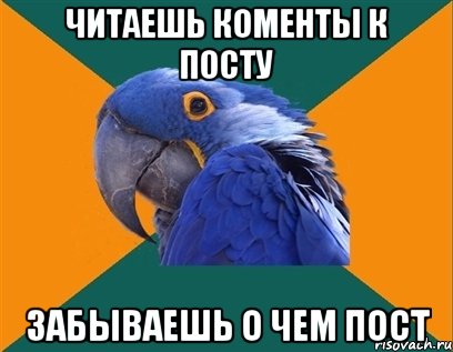 читаешь коменты к посту забываешь о чем пост, Мем Попугай параноик