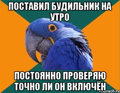 поставил будильник на утро постоянно проверяю точно ли он включён, Мем Попугай параноик