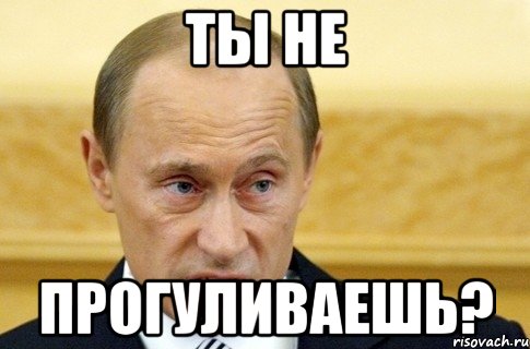 ты не прогуливаешь?, Мем путин