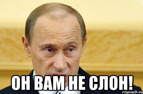  он вам не слон!, Мем путин