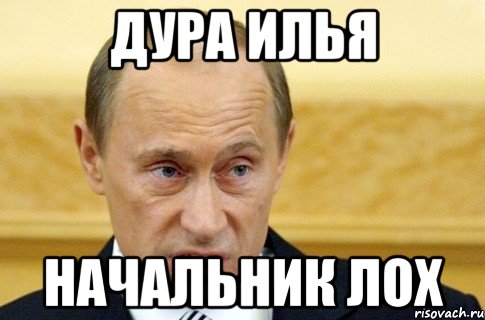 дура илья начальник лох, Мем путин