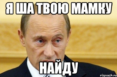 я ша твою мамку найду, Мем путин