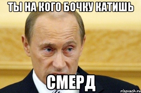 ты на кого бочку катишь смерд, Мем путин