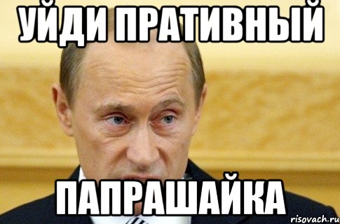 уйди пративный папрашайка, Мем путин