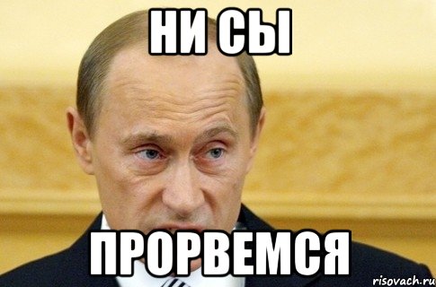 ни сы прорвемся, Мем путин