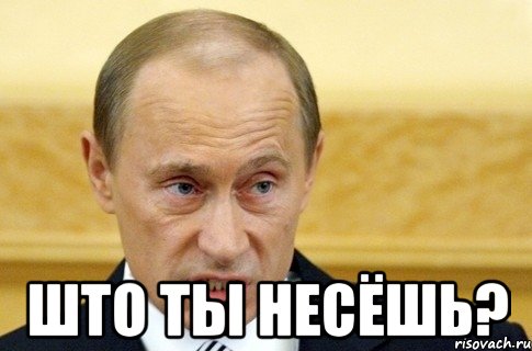  што ты несёшь?, Мем путин