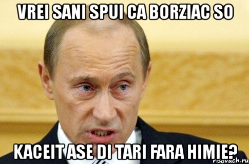 vrei sani spui ca borziac so kaceit ase di tari fara himie?, Мем путин