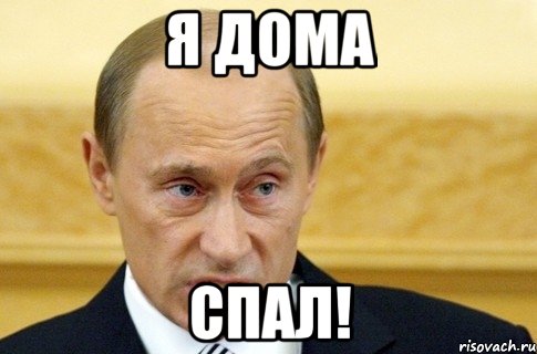 я дома спал!, Мем путин