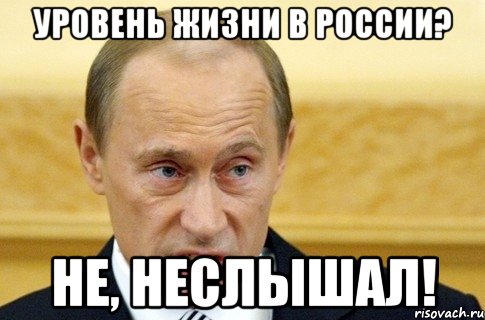 уровень жизни в россии? не, неслышал!, Мем путин