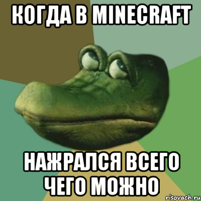 когда в minecraft нажрался всего чего можно, Мем  Ракодил