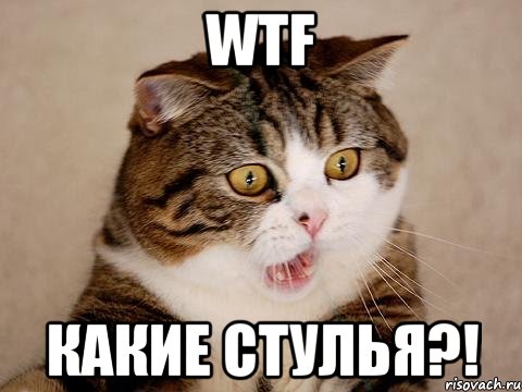 wtf какие стулья?!, Мем  сердитый кот