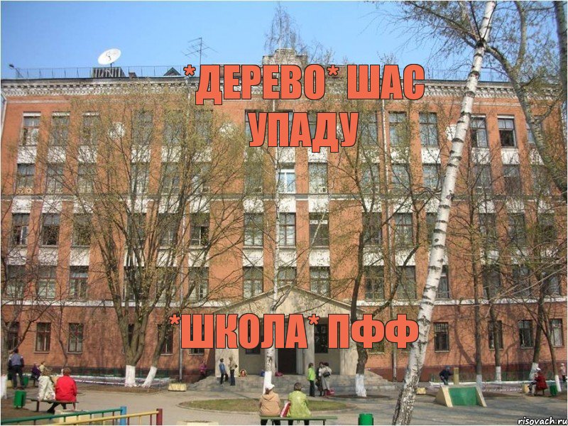 *дерево* шас упаду *школа* пфф, Комикс Школа