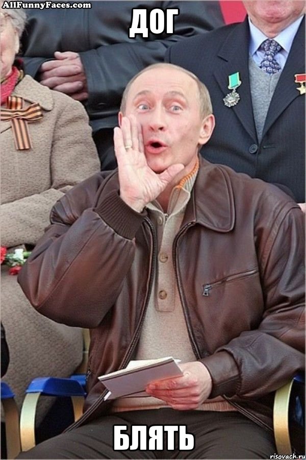 дог блять
