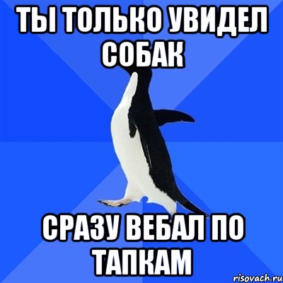 ты только увидел собак сразу вебал по тапкам