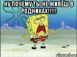 ну почему ты не живёш в родниках!!! , Мем Спанч Боб плачет