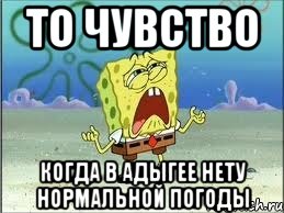 то чувство когда в адыгее нету нормальной погоды, Мем Спанч Боб плачет