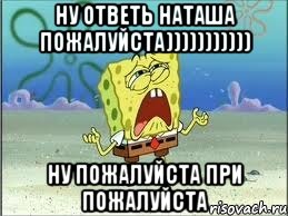 ну ответь наташа пожалуйста))))))))))) ну пожалуйста при пожалуйста, Мем Спанч Боб плачет