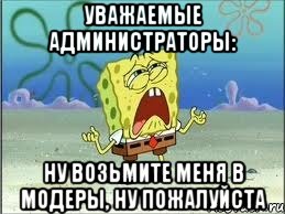 уважаемые администраторы: ну возьмите меня в модеры, ну пожалуйста, Мем Спанч Боб плачет