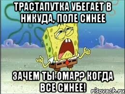 трастапутка убегает в никуда, поле синее зачем ты омар? когда все синее!, Мем Спанч Боб плачет