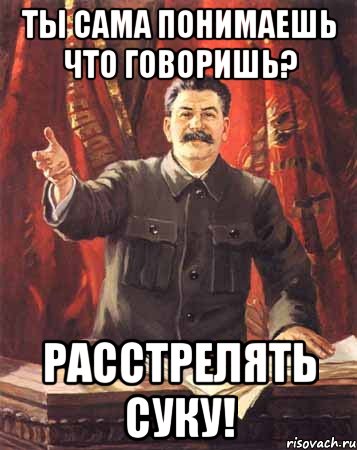 ты сама понимаешь что говоришь? расстрелять суку!, Мем  сталин цветной