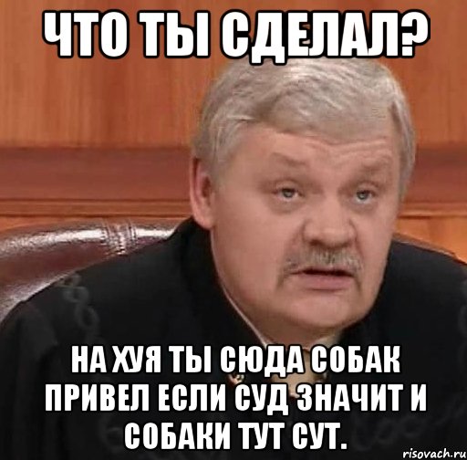 что ты сделал? на хуя ты сюда собак привел если суд значит и собаки тут сут., Мем Судья