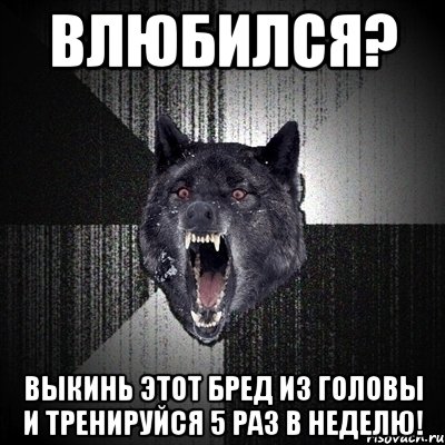 влюбился? выкинь этот бред из головы и тренируйся 5 раз в неделю!, Мем Сумасшедший волк