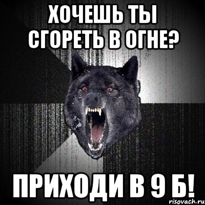 хочешь ты сгореть в огне? приходи в 9 б!, Мем Сумасшедший волк