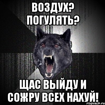 воздух? погулять? щас выйду и сожру всех нахуй!, Мем Сумасшедший волк