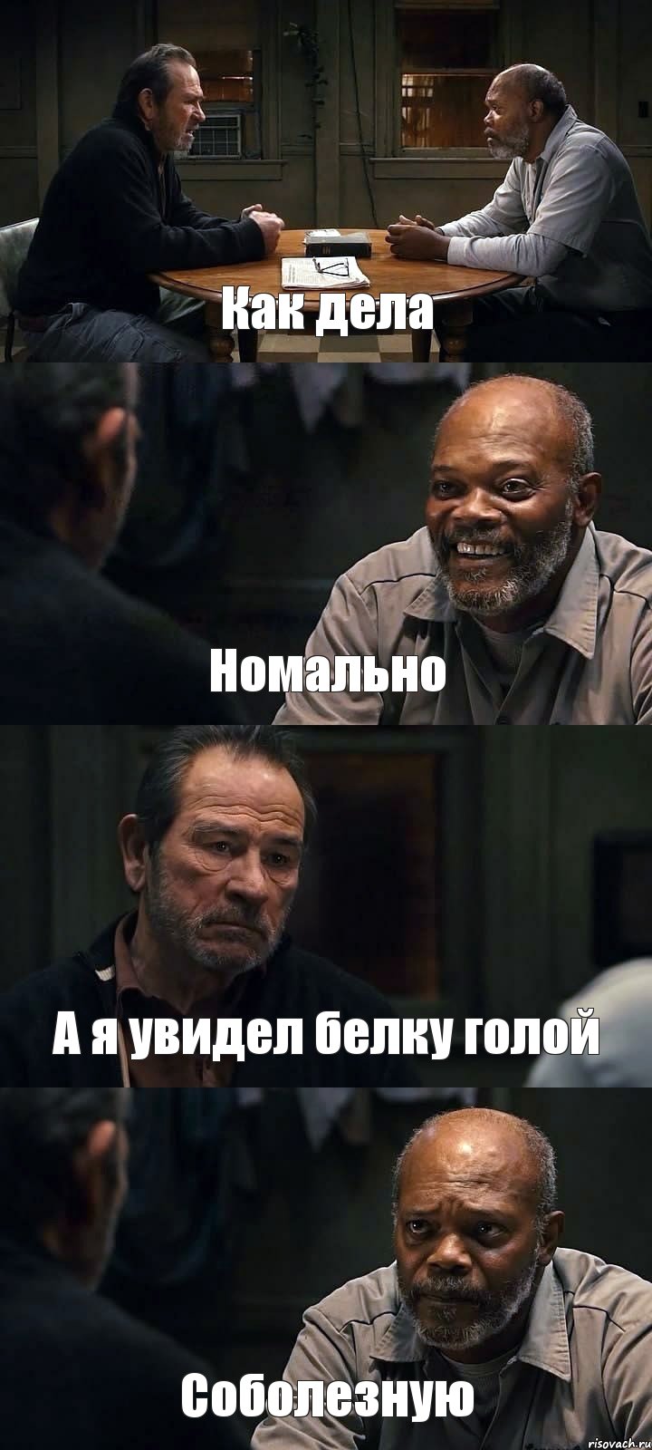 Как дела Номально А я увидел белку голой Соболезную, Комикс The Sunset Limited