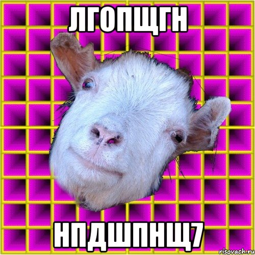 лгопщгн нпдшпнщ7