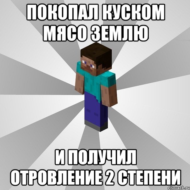 покопал куском мясо землю и получил отровление 2 степени, Мем Типичный игрок Minecraft