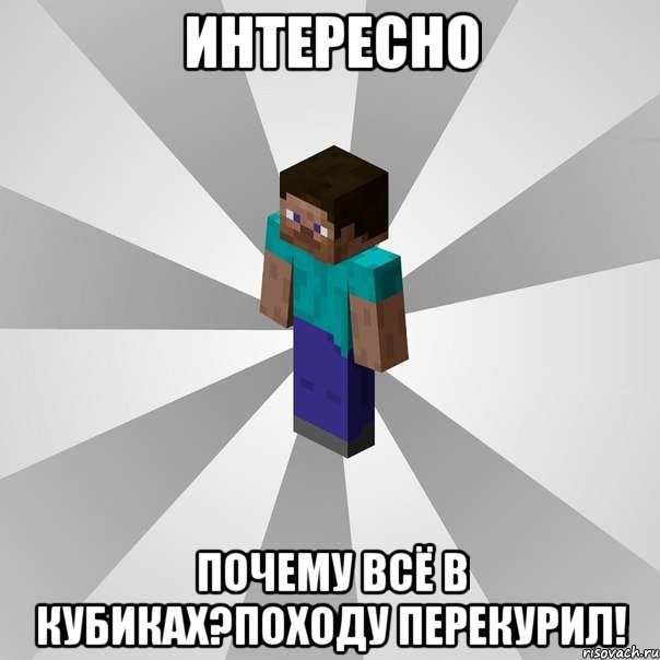 интересно почему всё в кубиках?походу перекурил!, Мем Типичный игрок Minecraft