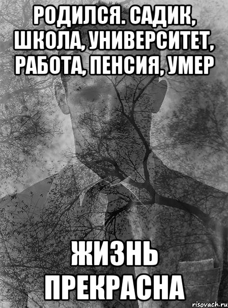 родился. садик, школа, университет, работа, пенсия, умер жизнь прекрасна