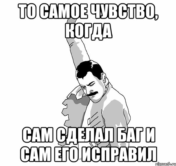 то самое чувство, когда сам сделал баг и сам его исправил, Мем   Фрэдди Меркьюри (успех)