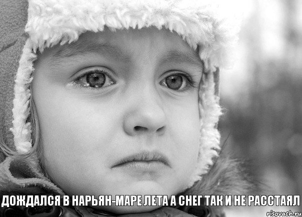  дождался в нарьян-маре лета а снег так и не расстаял, Комикс То