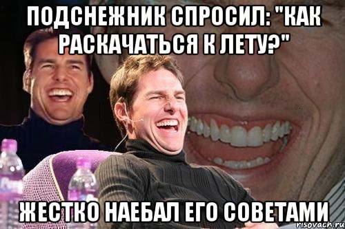 подснежник спросил: "как раскачаться к лету?" жестко наебал его советами, Мем том круз