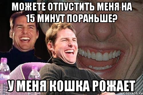 можете отпустить меня на 15 минут пораньше? у меня кошка рожает, Мем том круз