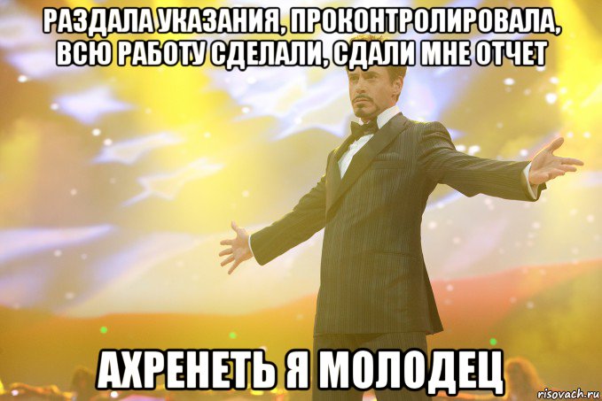 раздала указания, проконтролировала, всю работу сделали, сдали мне отчет ахренеть я молодец, Мем Тони Старк (Роберт Дауни младший)