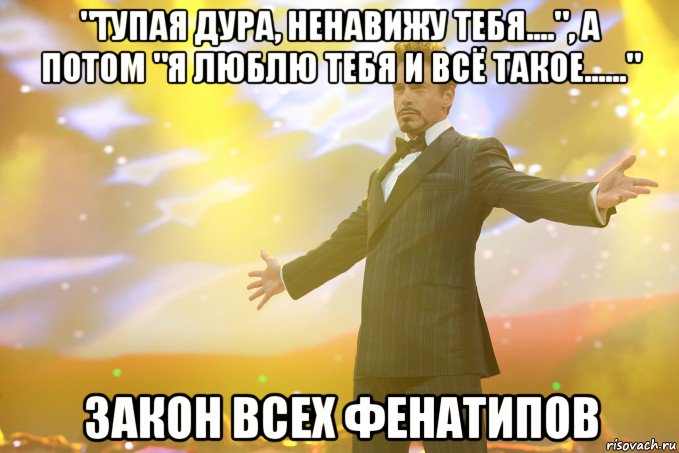 "тупая дура, ненавижу тебя....", а потом "я люблю тебя и всё такое......" закон всех фенатипов, Мем Тони Старк (Роберт Дауни младший)