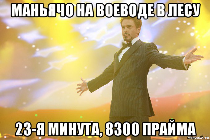 маньячо на воеводе в лесу 23-я минута, 8300 прайма, Мем Тони Старк (Роберт Дауни младший)