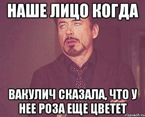 наше лицо когда вакулич сказала, что у нее роза еще цветет, Мем твое выражение лица