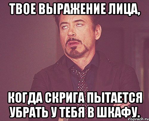 твое выражение лица, когда скрига пытается убрать у тебя в шкафу., Мем твое выражение лица